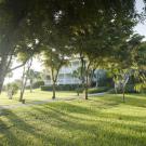 Parrot Cay