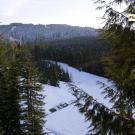 Whistler Platinum