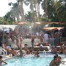 Sexiest New Pool Scenes in Vegas