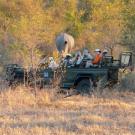 A closer look at the new Londolozi Tree Camp